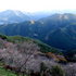 2006.11.13　鬼石-056　　桜山公園.JPG
