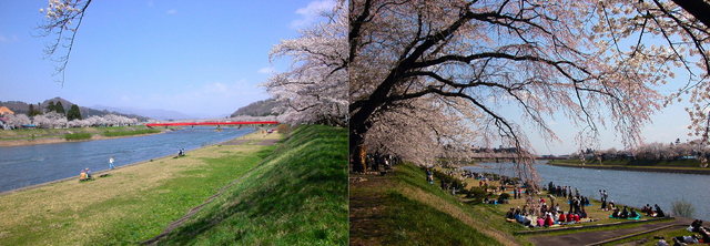 角館C（檜ノ木内川）B1　(1280×464).jpg