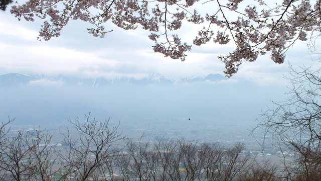 2014.04.29 A- 008　光城山 （9.25 to 10.10）.jpg