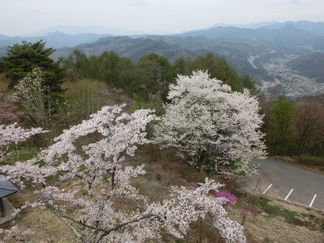 2014.04.29 B- 033　長峰山 （10.08 to 10.31）.jpg
