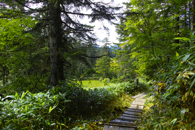 14.09.07-006 尾瀬 U 沼山峠.jpg