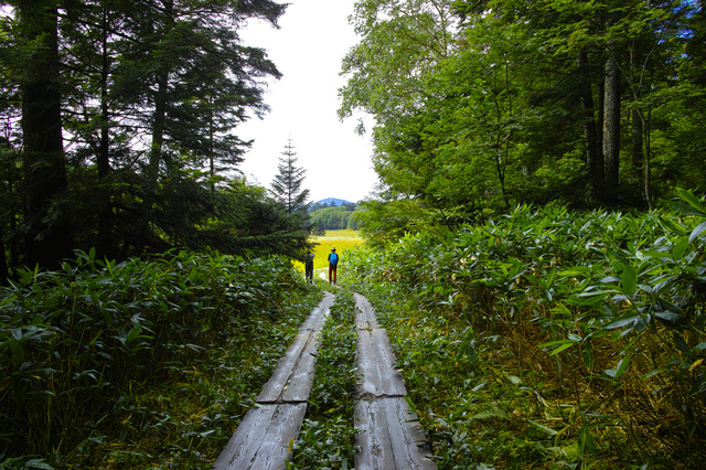 14.09.07-007 尾瀬 U 沼山峠.jpg