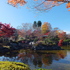14.11.16 B - 005 鬼石「桜山公園」.jpg