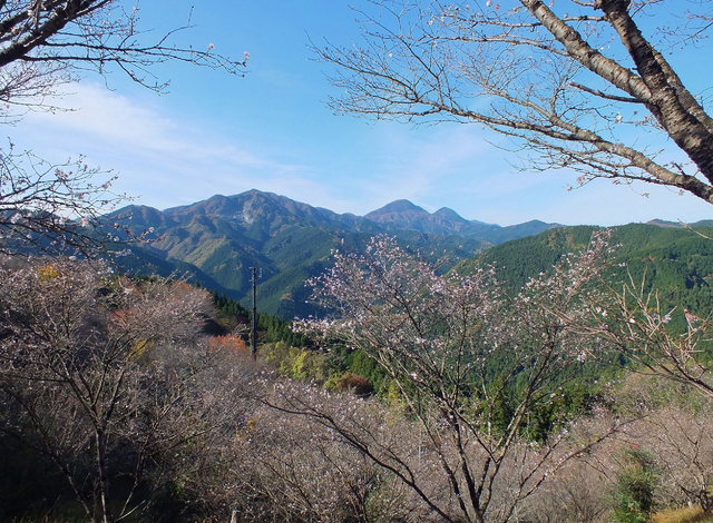 14.11.16 B - 017 鬼石「桜山公園」.jpg
