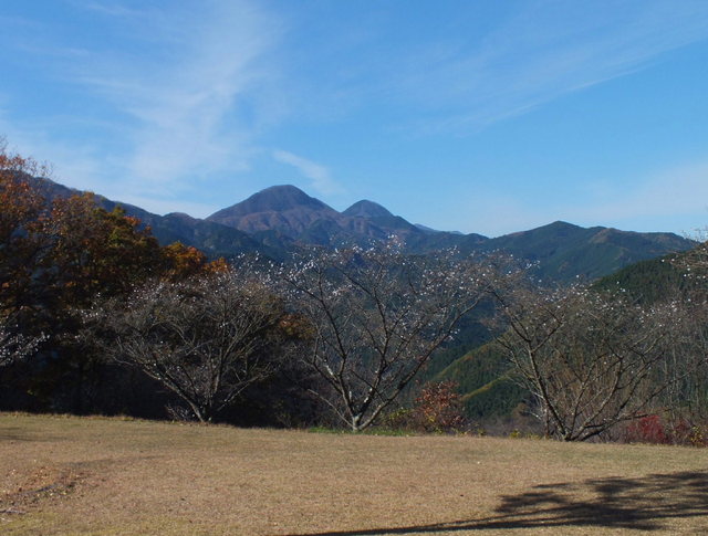 14.11.16 B - 029 鬼石「桜山公園」.jpg