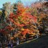 14.11.16 B - 031 鬼石「桜山公園」.jpg