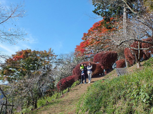 14.11.16 B - 057 鬼石「桜山公園」.jpg