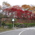 2014.11.06 Ｂ003 鬼石「桜山公園」.jpg