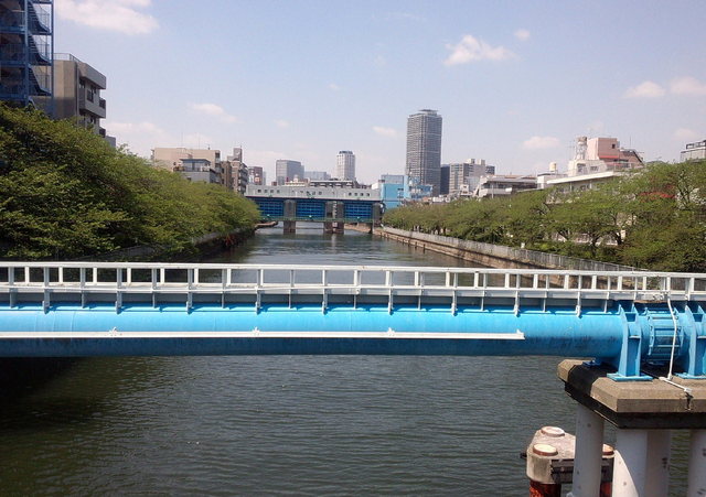 20150426_高橋から下流（隅田川）方向.jpg