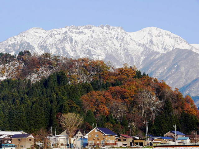 里の初雪(直後)下薬師堂付近【宇田沢川】堰堤より (2008年12月上旬、前夜の里・初雪).jpg