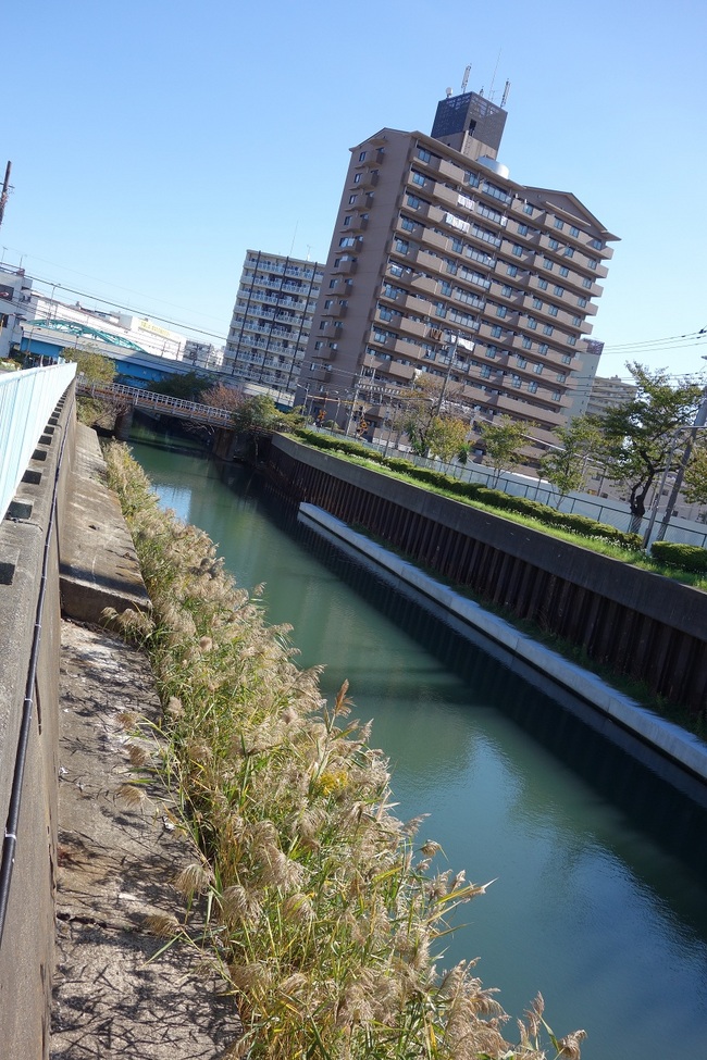 25％東武亀戸線と小原橋を望むDSC00151.jpg