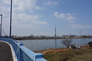 平井大橋.jpg