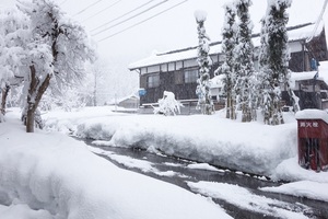 2015年1月1日～3日 六日町の雪 - 秀一'Page