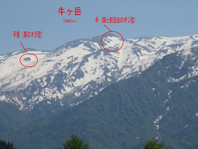 5-18牛ヶ岳雪形4.jpg